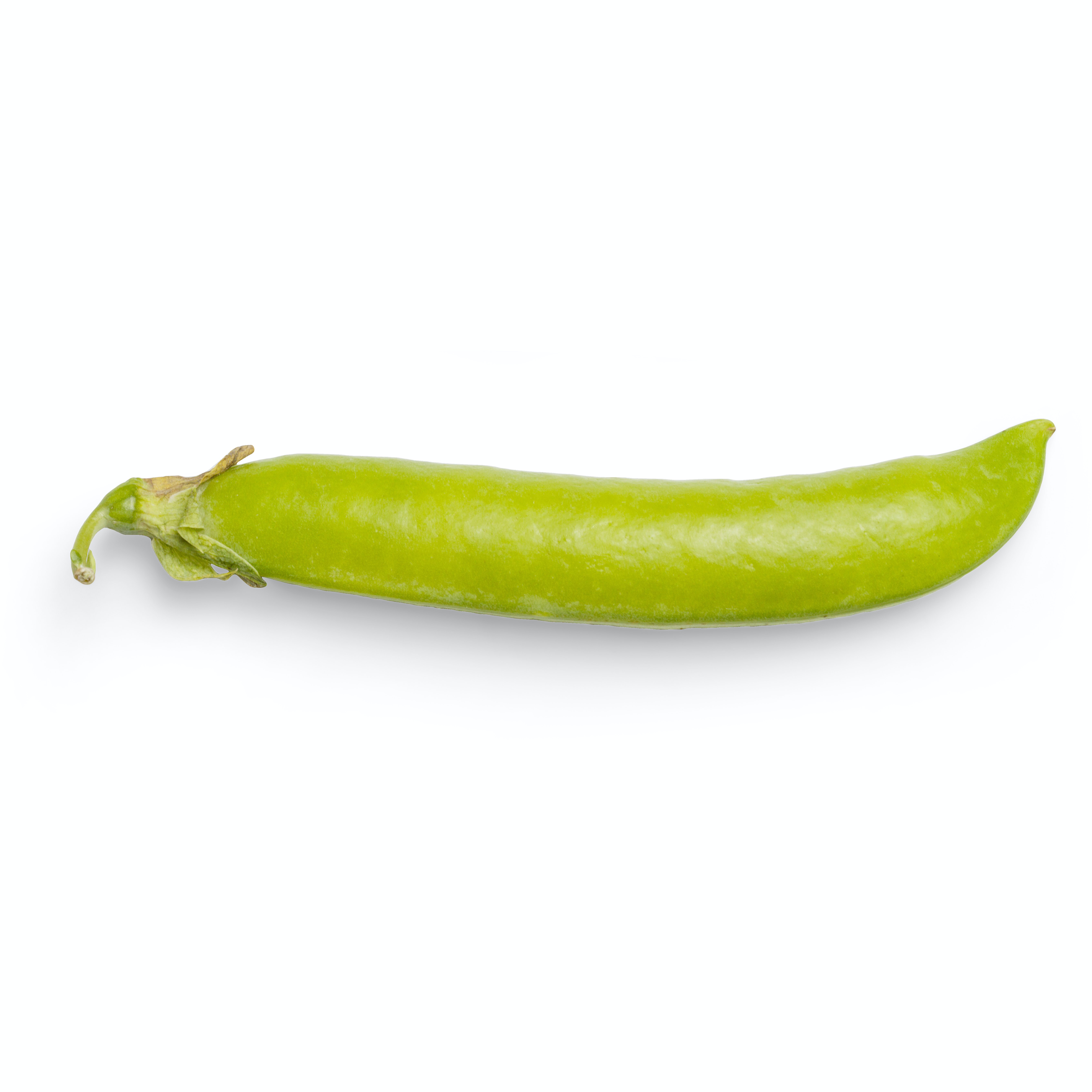 picture of a green chili
